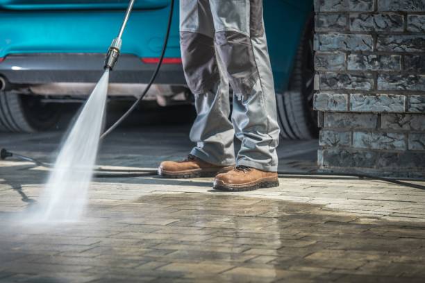 Best Pool Deck Cleaning  in Pecatonica, IL