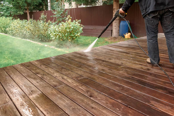 Pre-Holiday Cleaning in Pecatonica, IL